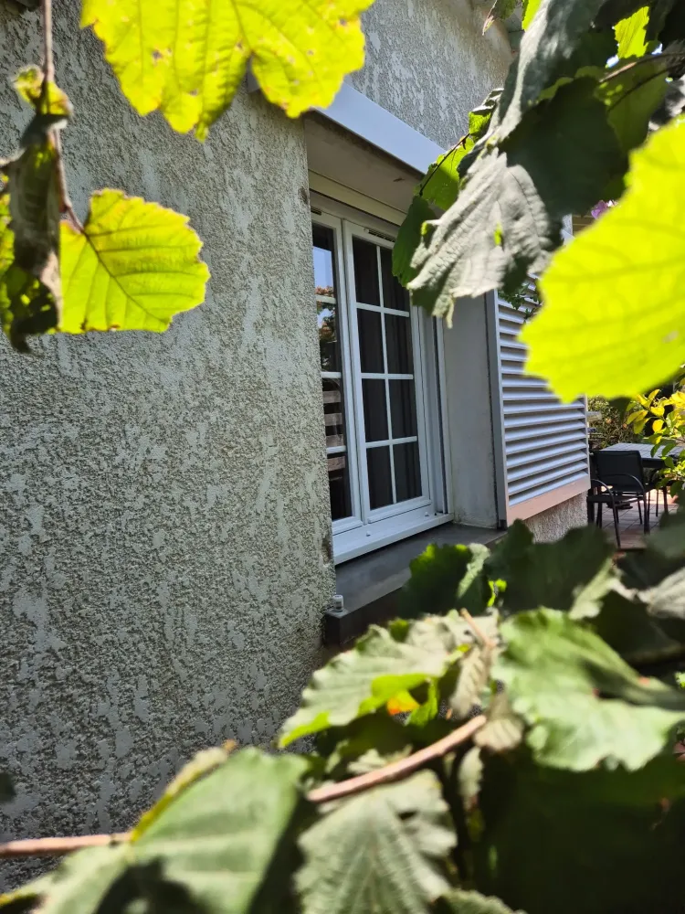 fenetres (2)
